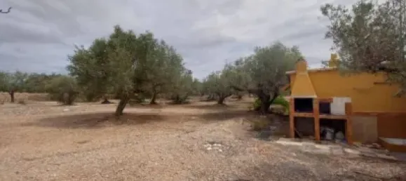 Grundstück in L'Ampolla, Spain 6102m², Nr. 144787 18