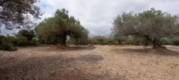 Grundstück in L'Ampolla, Spain 6102m², Nr. 144787 11