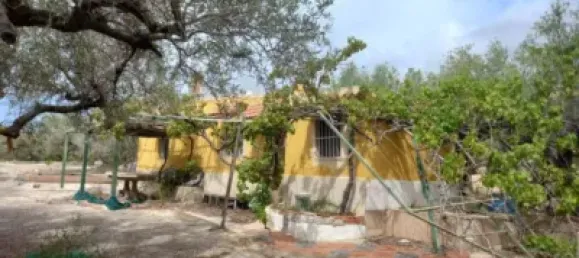 Grundstück in L'Ampolla, Spain 6102m², Nr. 144787 5