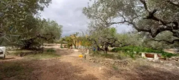 Grundstück in L'Ampolla, Spain 6102m², Nr. 144787 6