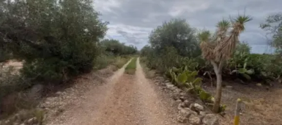 Grundstück in L'Ampolla, Spain 6102m², Nr. 144787 15