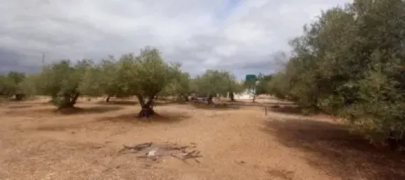 Grundstück in L'Ampolla, Spain 6102m², Nr. 144787 8