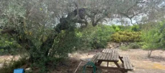 Grundstück in L'Ampolla, Spain 6102m², Nr. 144787 3