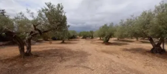 Grundstück in L'Ampolla, Spain 6102m², Nr. 144787 9