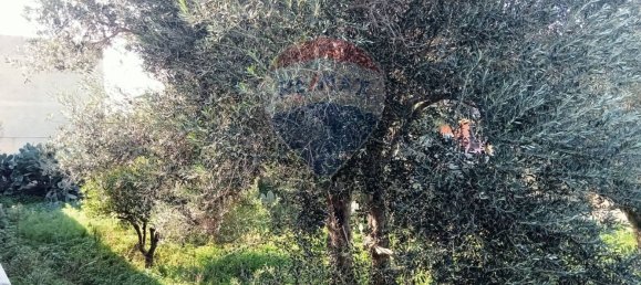 8-Zimmer Gewerbliche Immobilie in Augusta, Italy, Nr. 57495 14