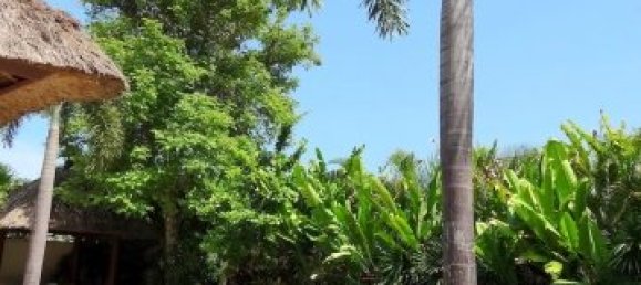 3 bedrooms Villa for rent in South Denpasar, Denpasar, Bali, Indonesia № 3039 20