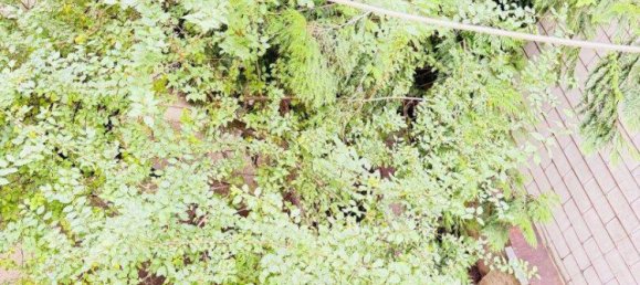 Apartamento de 3 habitaciónes en Penzing, Austria No. 135889 12