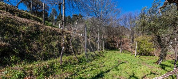 5 Schlafzimmer Haus in Arnoia, Portugal, Nr. 40298 39