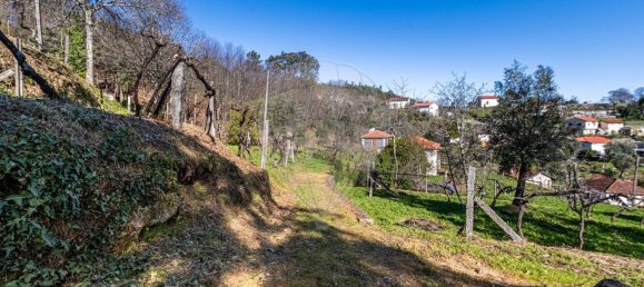 5 Schlafzimmer Haus in Arnoia, Portugal, Nr. 40298 37