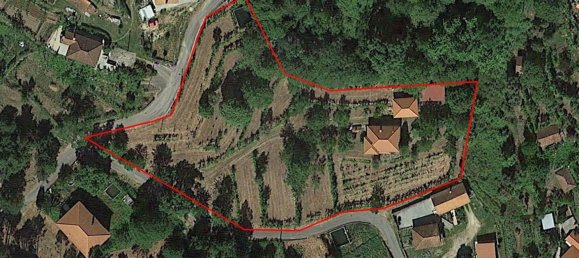 5 Schlafzimmer Haus in Arnoia, Portugal, Nr. 40298 47