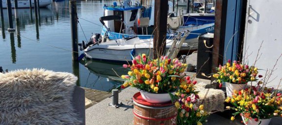 3 غرف نوم تاون هاوس في Ostholstein, Germany رقم 42114 40