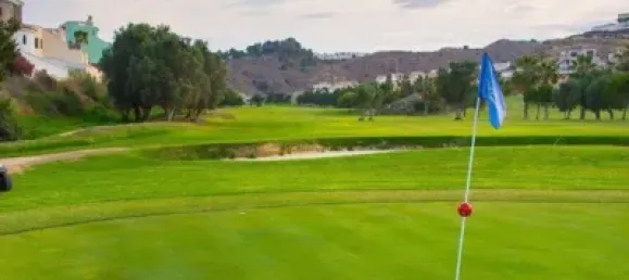 4 bedrooms Villa in Ciudad Quesada, Spain No. 32541 21