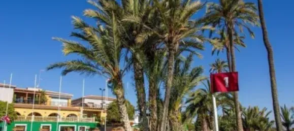 4 bedrooms Villa in Ciudad Quesada, Spain No. 32541 22