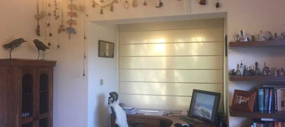 4 غرف نوم عقار تجاري في Trimiklini, Cyprus رقم 18457 11