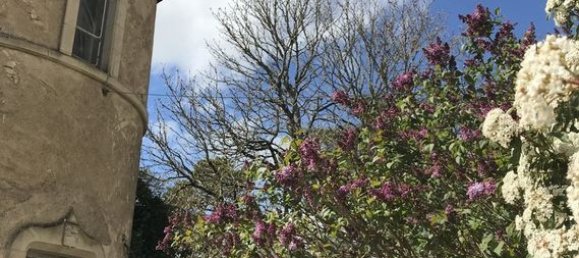 24 Schlafzimmer Schlösser in Blet, France, Nr. 350719 27