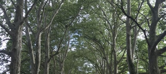 24 Schlafzimmer Schlösser in Blet, France, Nr. 350719 23