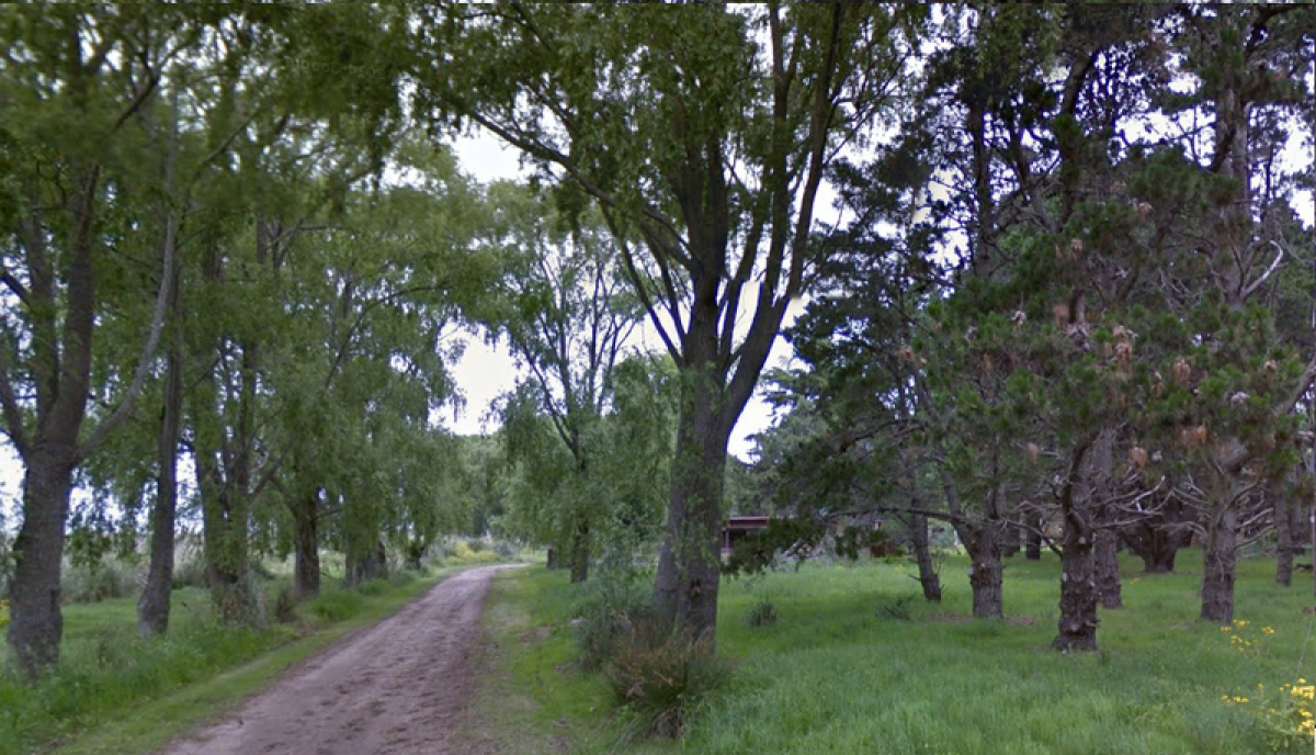 Terreno em Mar del Plata, Argentina N.º 116299