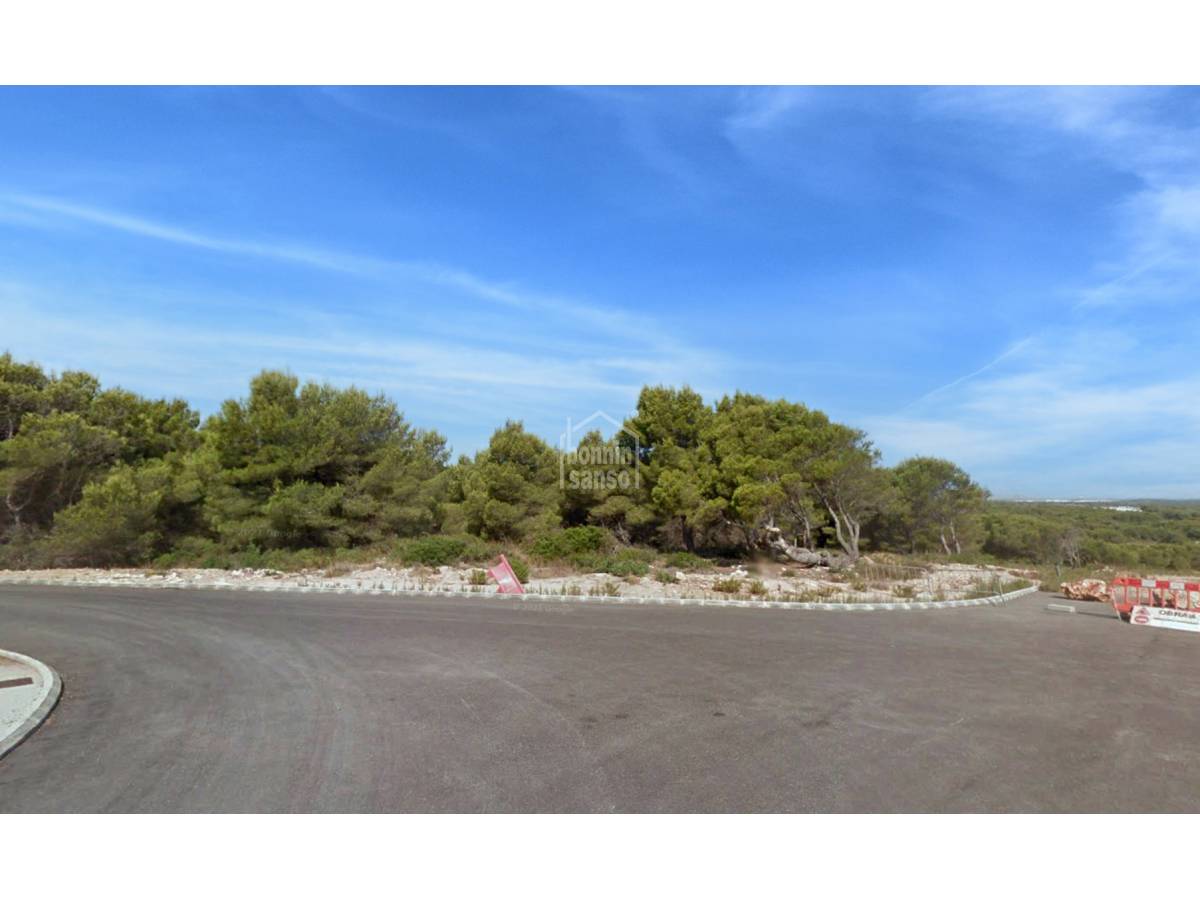  Land in Es Mercadal, Spain No. 2218