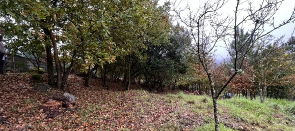 Terreno em Viseu, Portugal N.º 83179 2