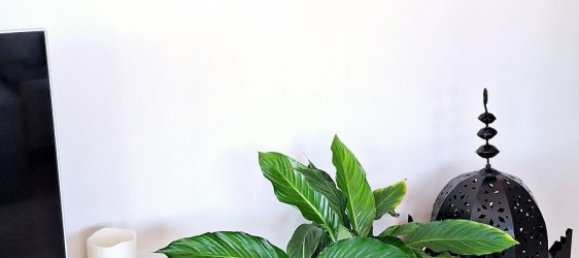 2 bedrooms Apartment in Estepona, Spain No. 155295 18