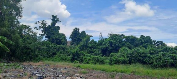 Terrain à Seminyak, Indonesia 800m² No. 4365 6