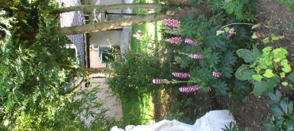 Земельный участок в Седан, Франция № 343255 3