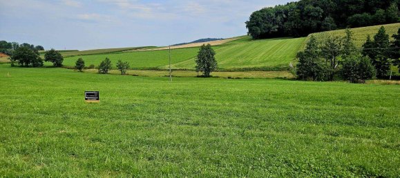  Land in Eberschwang, Austria No. 230888 4