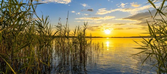 3 Schlafzimmer Wohnung in Leipzig, Germany, Nr. 264596 4