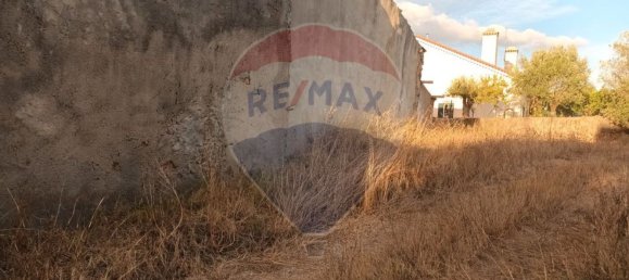 3 bedrooms House in Tomar, Portugal No. 175923 5