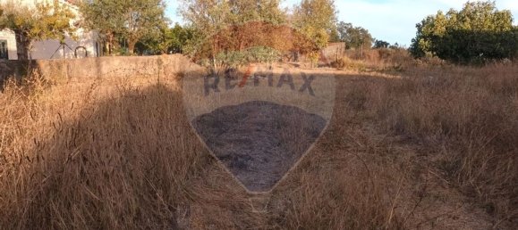 3 bedrooms House in Tomar, Portugal No. 175923 4