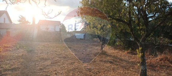 3 bedrooms House in Tomar, Portugal No. 175923 7