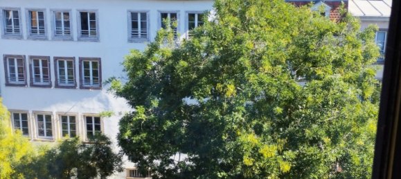 Gebäude in Strasbourg, France 380m², Nr. 237271 5