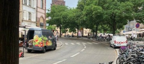 Gebäude in Strasbourg, France 380m², Nr. 237271 14