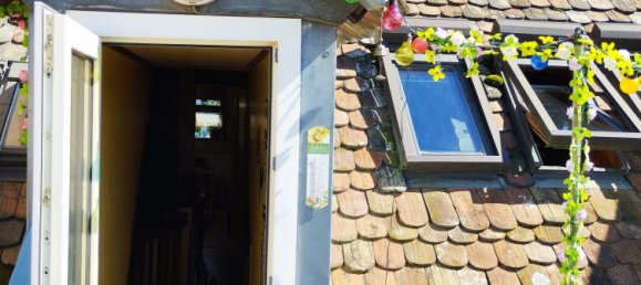 Gebäude in Strasbourg, France 380m², Nr. 237271 7