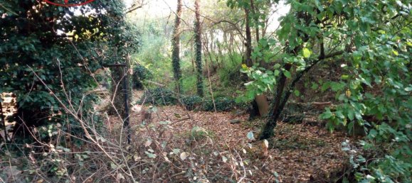 Studio in Laterina Pergine Valdarno, Italy No. 226583 19