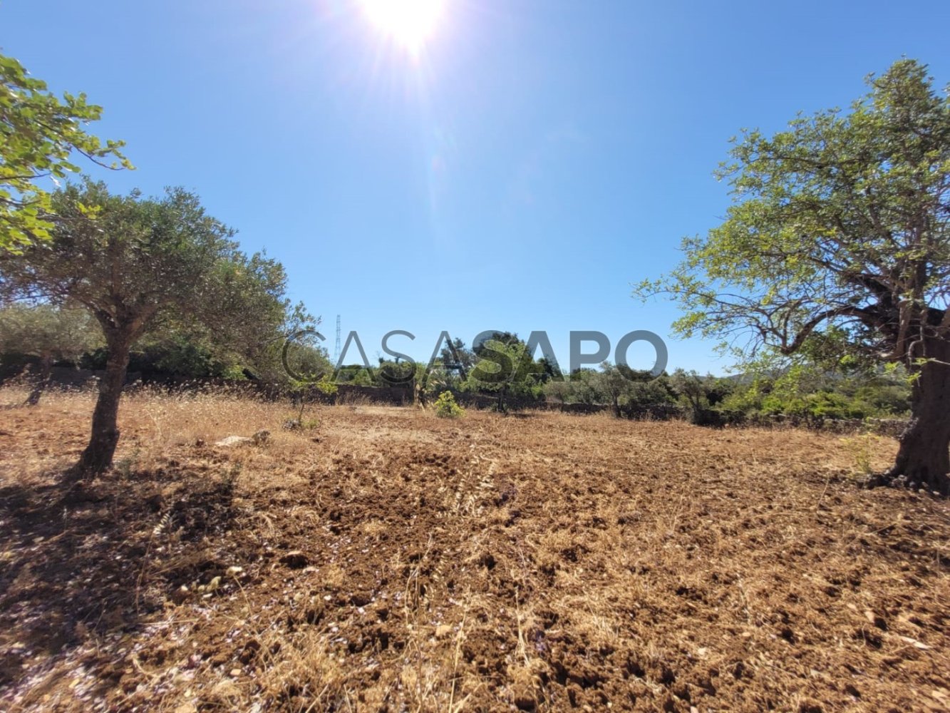  Land in Sao Bras de Alportel, Portugal No. 211819