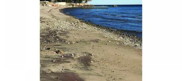 2 bedrooms House in Selkirk, Canada No. 794 3