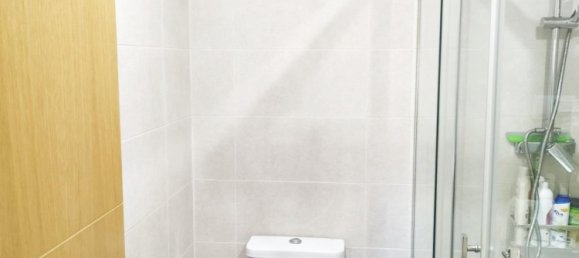 5 bedrooms Apartment in Malaga, Spain No. 168228 51