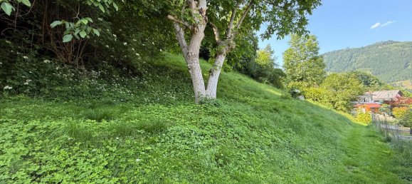 Grundstück in Bruck an der Mur, Austria, Nr. 130434 4