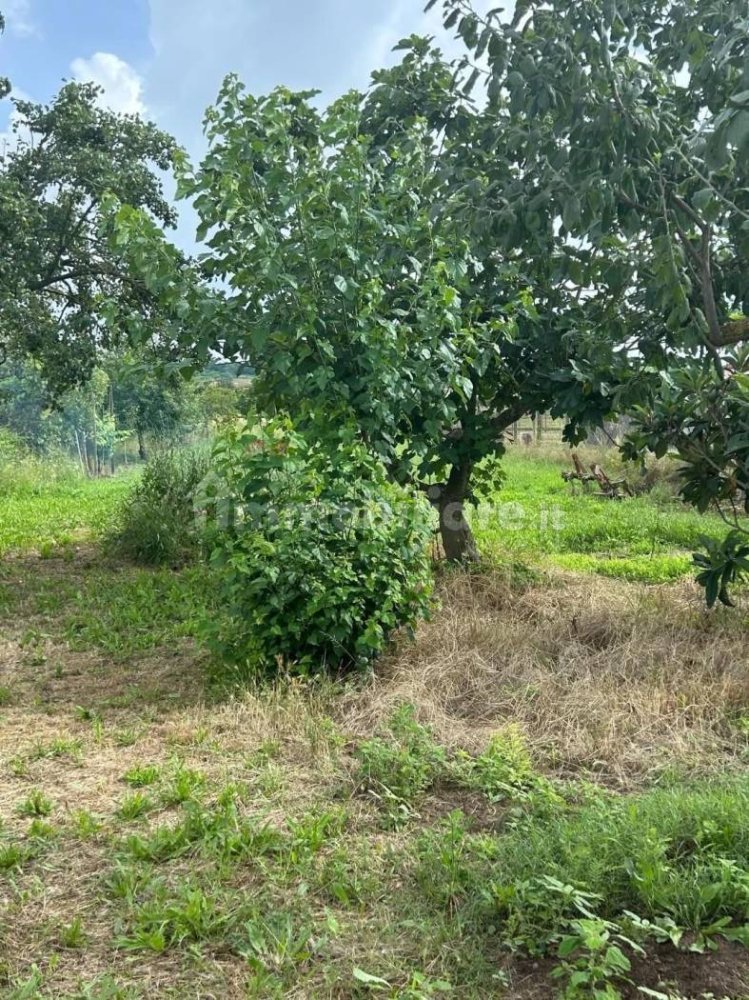 1 chambre Maison à Casciana Terme Lari, Italy No. 271278