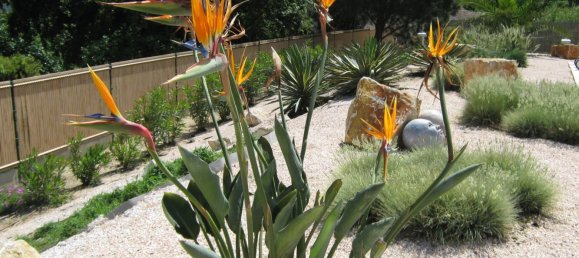 4 غرف نوم فيلا في Le Plan-de-la-Tour, France رقم 914 11