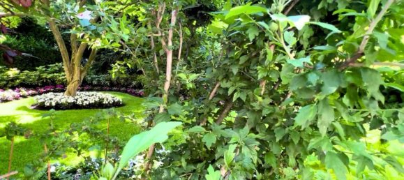 3 rooms Apartment in Vienna, Austria No. 207485 2