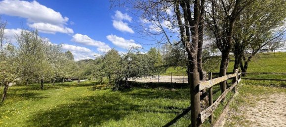 11 rooms Farm in Ravensburg, Germany No. 64384 29