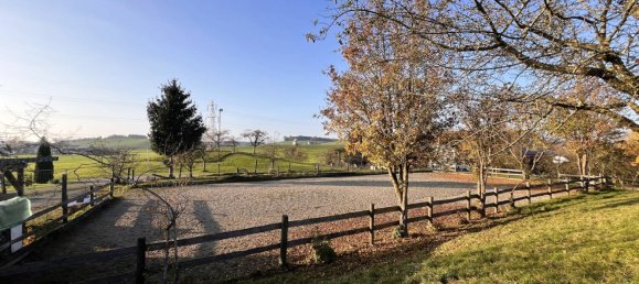 11 rooms Farm in Ravensburg, Germany No. 64384 12