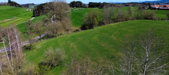 11 rooms Farm in Ravensburg, Germany No. 64384 30