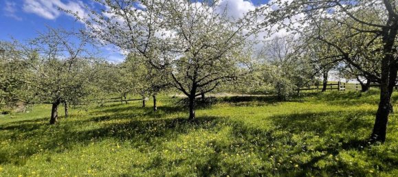 11 rooms Farm in Ravensburg, Germany No. 64384 28