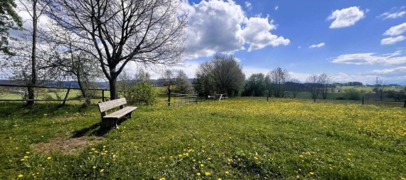 11 rooms Farm in Ravensburg, Germany No. 64384 26