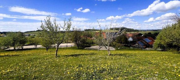 11 rooms Farm in Ravensburg, Germany No. 64384 2