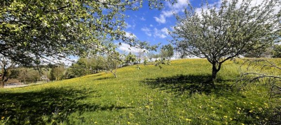 11 rooms Farm in Ravensburg, Germany No. 64384 27