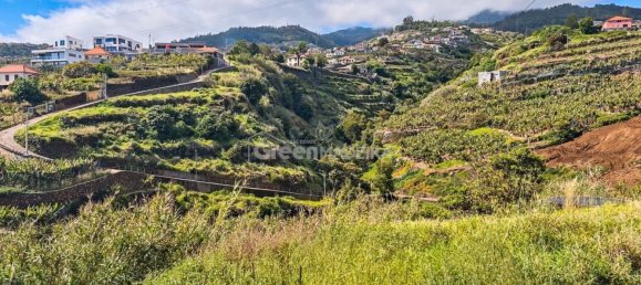Grundstück in Ponta do Sol, Portugal, Nr. 301131 7